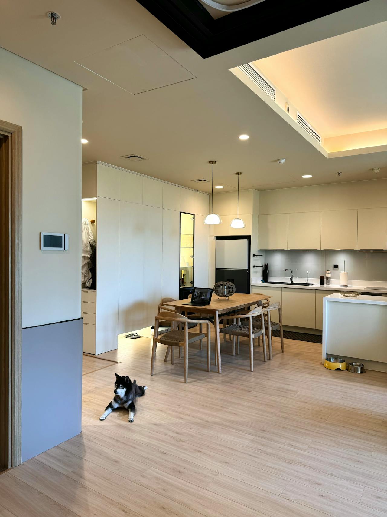 Dog in kitchen