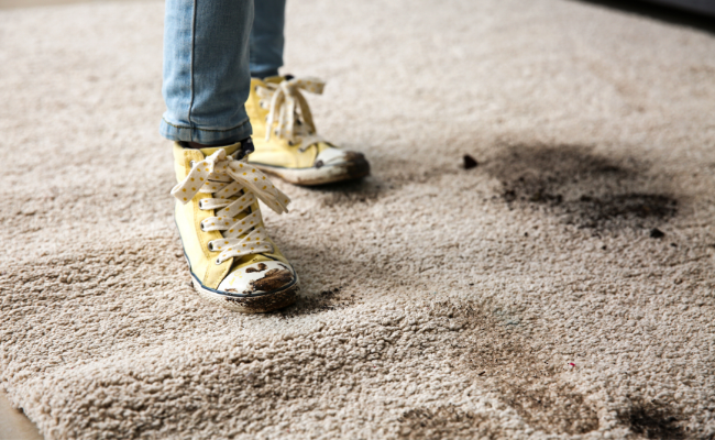 How to Get Mud Out of Carpet